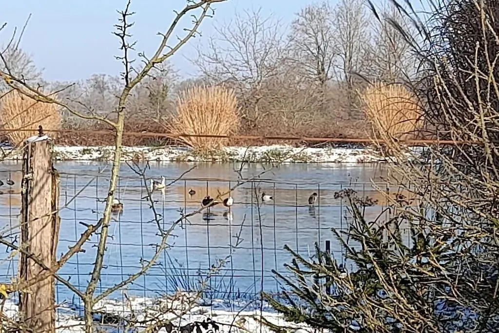 Hébergement de vacances Villa Au Coeur De La Dombes à Saint-Paul-de-Varax